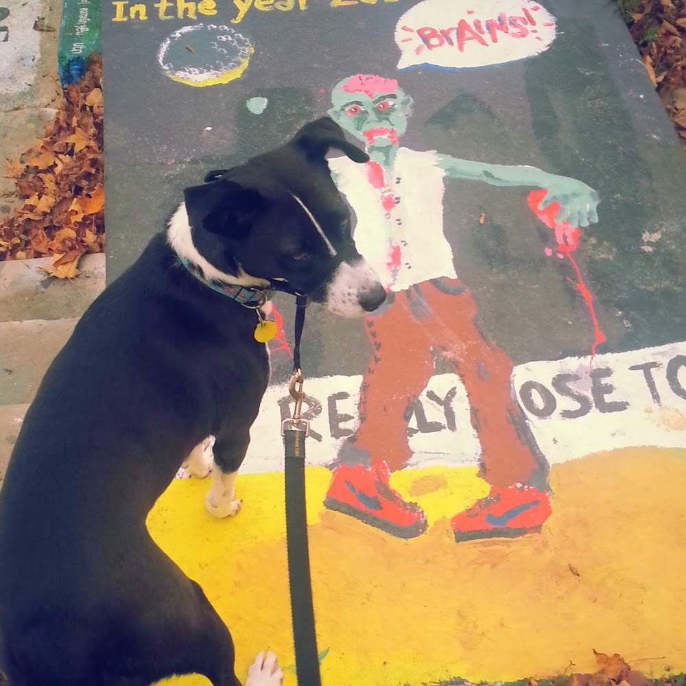 Meet your Posher, Jessica